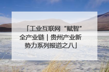 工业互联网“赋智”全产业链｜贵州产业新势力系列报道之八