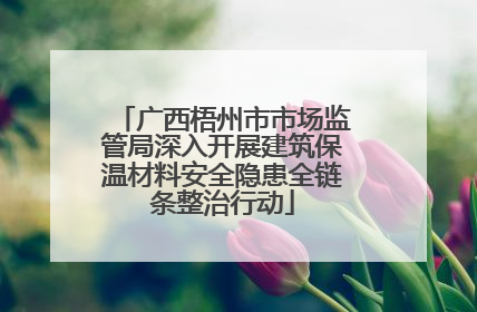 广西梧州市市场监管局深入开展建筑保温材料安全隐患全链条整治行动