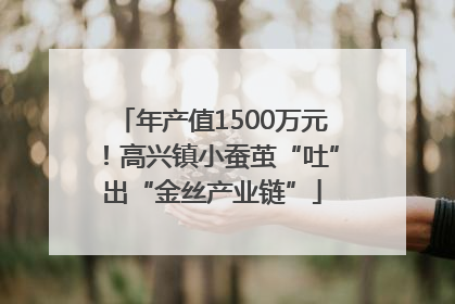 年产值1500万元！高兴镇小蚕茧“吐”出“金丝产业链”