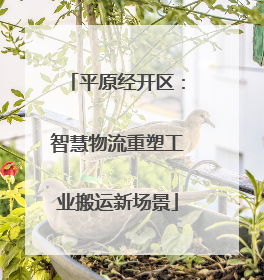 平原经开区：智慧物流重塑工业搬运新场景