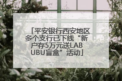 平安银行西安地区多个支行已下线“新户存5万元送LABUBU盲盒”活动