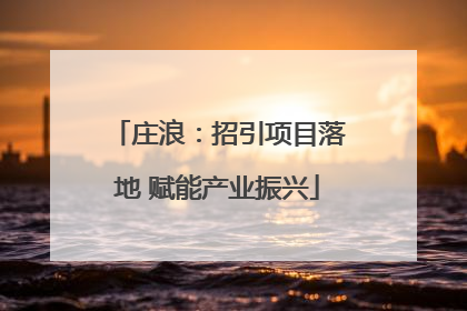 庄浪：招引项目落地 赋能产业振兴