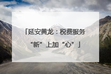 延安黄龙：税费服务“新”上加“心”