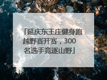 延庆东王庄健身跑越野赛开赛，300名选手竞逐山野