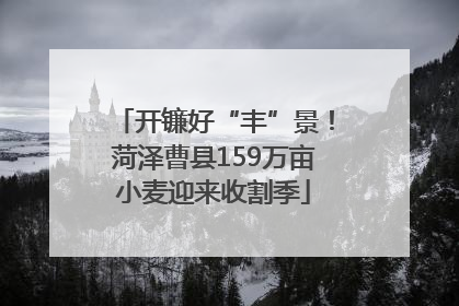 开镰好“丰”景！菏泽曹县159万亩小麦迎来收割季