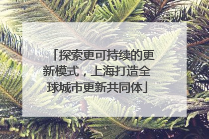 探索更可持续的更新模式，上海打造全球城市更新共同体