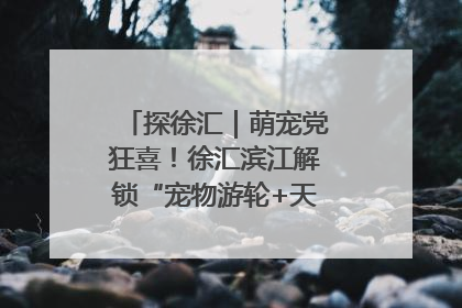 探徐汇｜萌宠党狂喜！徐汇滨江解锁“宠物游轮+天台乐园”双玩法