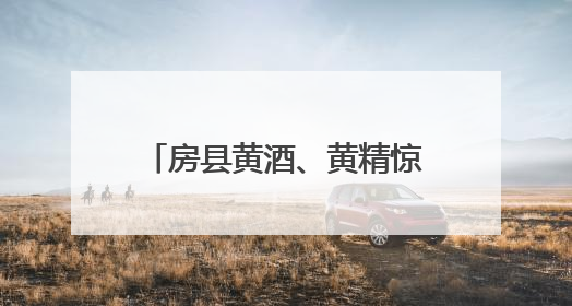 房县黄酒、黄精惊艳亮相中国国际文化产业博览交易会