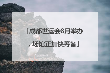 成都世运会8月举办，场馆正加快筹备