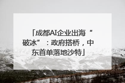 成都AI企业出海“破冰”：政府搭桥，中东首单落地沙特