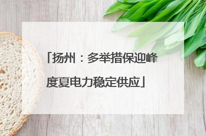 扬州：多举措保迎峰度夏电力稳定供应