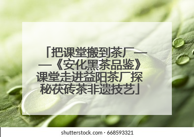 把课堂搬到茶厂——《安化黑茶品鉴》课堂走进益阳茶厂探秘茯砖茶非遗技艺