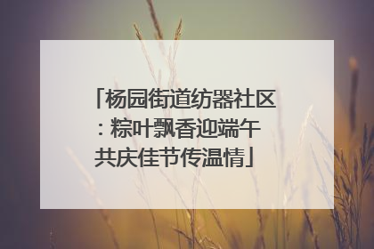 杨园街道纺器社区：粽叶飘香迎端午 共庆佳节传温情