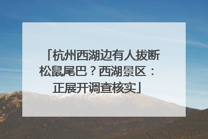 杭州西湖边有人拔断松鼠尾巴？西湖景区：正展开调查核实