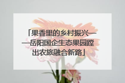 果香里的乡村振兴——岳阳国企生态果园蹚出农旅融合新路