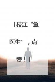 枝江“鱼医生”，点赞！