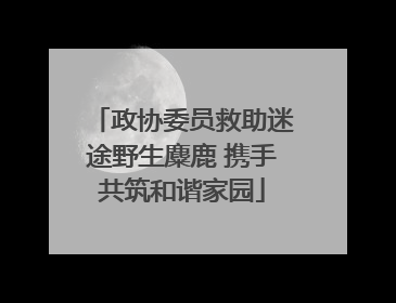 政协委员救助迷途野生麋鹿 携手共筑和谐家园