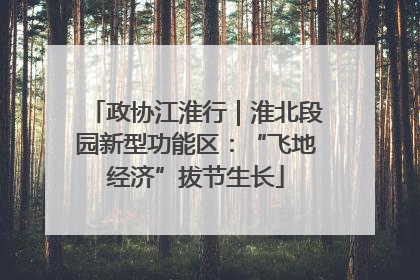 政协江淮行｜淮北段园新型功能区：“飞地经济”拔节生长