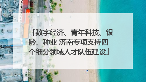 数字经济、青年科技、银龄、种业 济南专项支持四个细分领域人才队伍建设