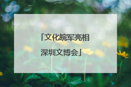 文化皖军亮相深圳文博会