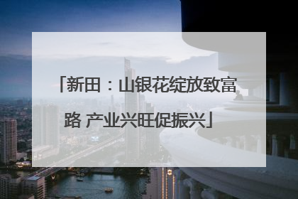 新田：山银花绽放致富路 产业兴旺促振兴