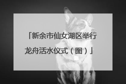 新余市仙女湖区举行龙舟活水仪式（图）