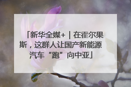 新华全媒+｜在霍尔果斯，这群人让国产新能源汽车“跑”向中亚