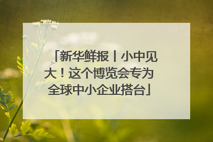 新华鲜报丨小中见大！这个博览会专为全球中小企业搭台