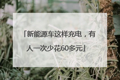 新能源车这样充电，有人一次少花60多元