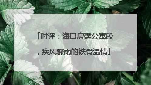 时评：海口房建公寓段，疾风骤雨的铁骨温情