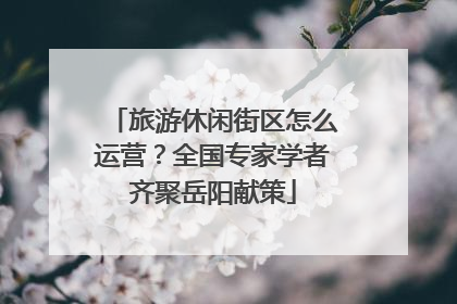 旅游休闲街区怎么运营？全国专家学者齐聚岳阳献策
