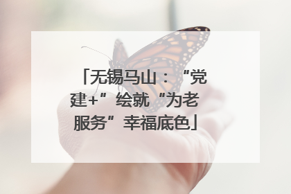 无锡马山：“党建+”绘就“为老服务”幸福底色