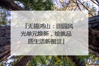 无锡鸿山：田园风光单元焕新，绘就品质生活新图景