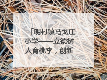 明村镇马戈庄小学——立德树人育桃李，创新发展谱华章