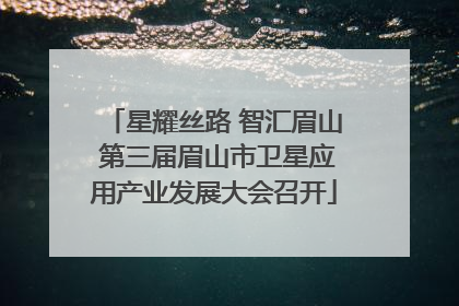 星耀丝路 智汇眉山 第三届眉山市卫星应用产业发展大会召开