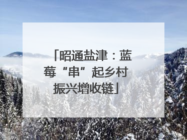 昭通盐津：蓝莓“串”起乡村振兴增收链