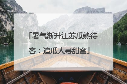 暑气渐升江苏瓜熟待客：追瓜人寻甜蜜
