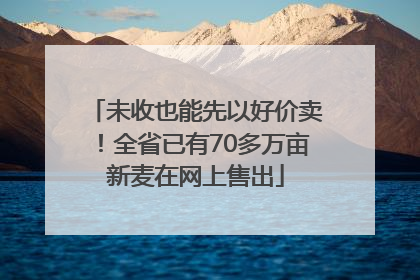 未收也能先以好价卖！全省已有70多万亩新麦在网上售出