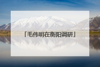 毛伟明在衡阳调研