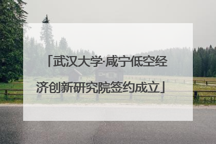 武汉大学·咸宁低空经济创新研究院签约成立