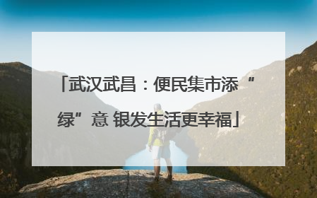 武汉武昌：便民集市添“绿”意 银发生活更幸福
