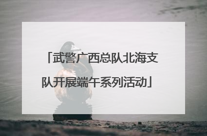 武警广西总队北海支队开展端午系列活动