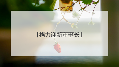 格力迎新董事长