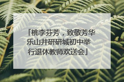 桃李芬芳，致敬芳华 乐山井研研城初中举行退休教师欢送会