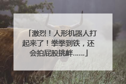 激烈！人形机器人打起来了！拳拳到铁，还会拍屁股挑衅……