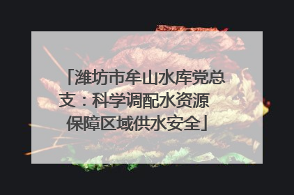 潍坊市牟山水库党总支：科学调配水资源 保障区域供水安全