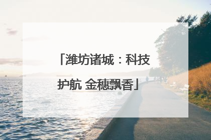 潍坊诸城：科技护航 金穗飘香