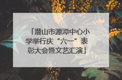 潜山市源潭中心小学举行庆“六一”表彰大会暨文艺汇演