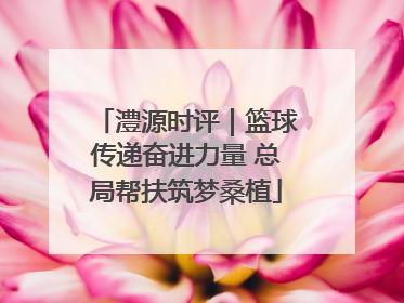 澧源时评｜篮球传递奋进力量 总局帮扶筑梦桑植