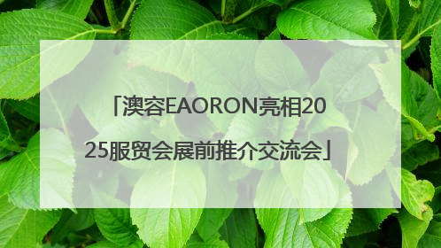 澳容EAORON亮相2025服贸会展前推介交流会